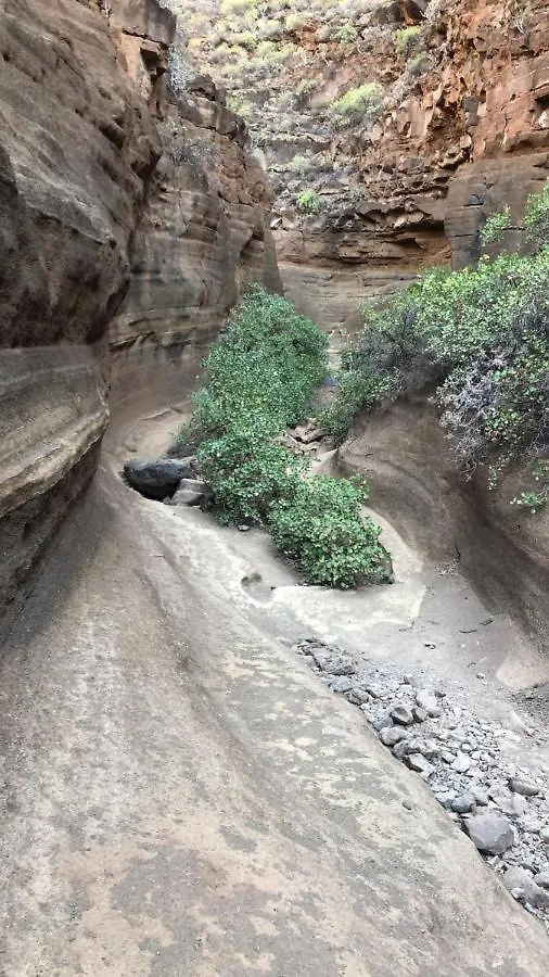 דירות Agüimes La Cuadra Finca El Calabres