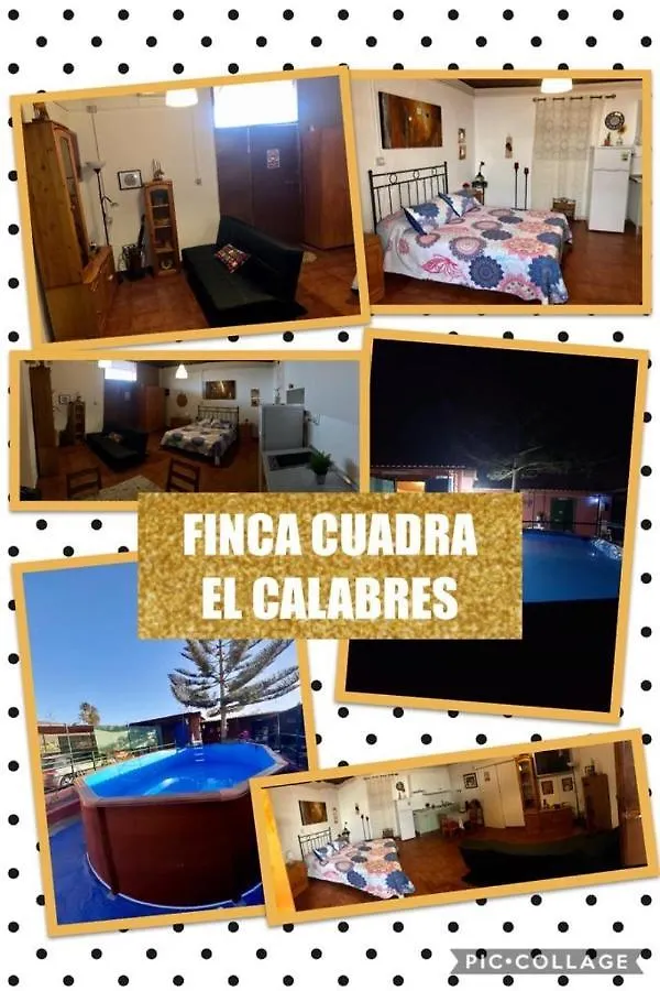 דירות Agüimes La Cuadra Finca El Calabres