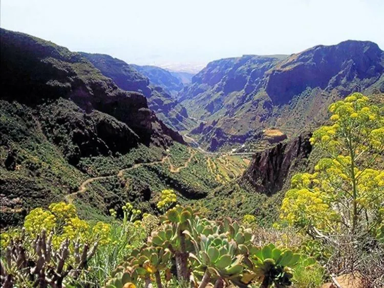 דירות Agüimes La Cuadra Finca El Calabres